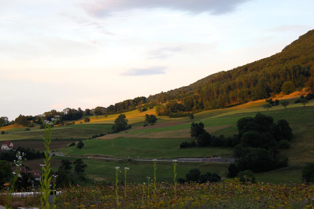 B&B Am Sonnenhuegel バーデン エクステリア 写真