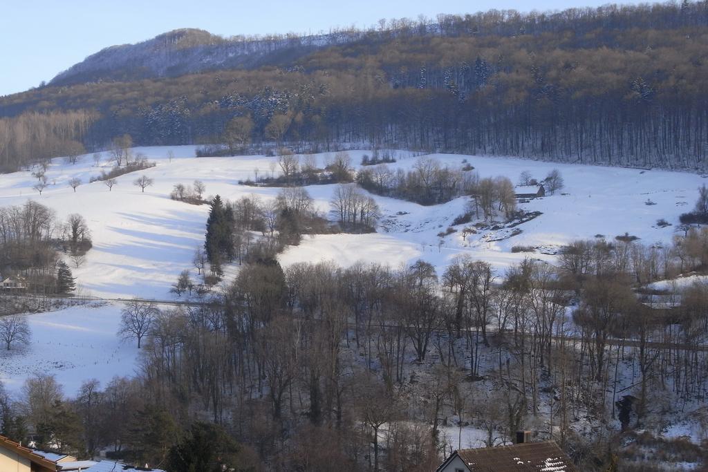 B&B Am Sonnenhuegel バーデン エクステリア 写真