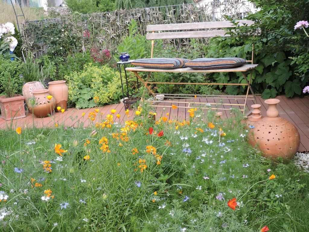 B&B Am Sonnenhuegel バーデン エクステリア 写真