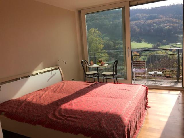 B&B Am Sonnenhuegel バーデン エクステリア 写真